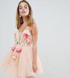 Asos Design Petite Exclusive Tulle 3d Embellished Flower Mini Dress - Pink