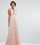 True Decadence Tall Cutwork Lace Halterneck Full Prom Maxi Dress - Pink