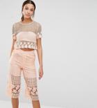 True Decadence Tall Mesh And Floral Lace Crop Top - Pink