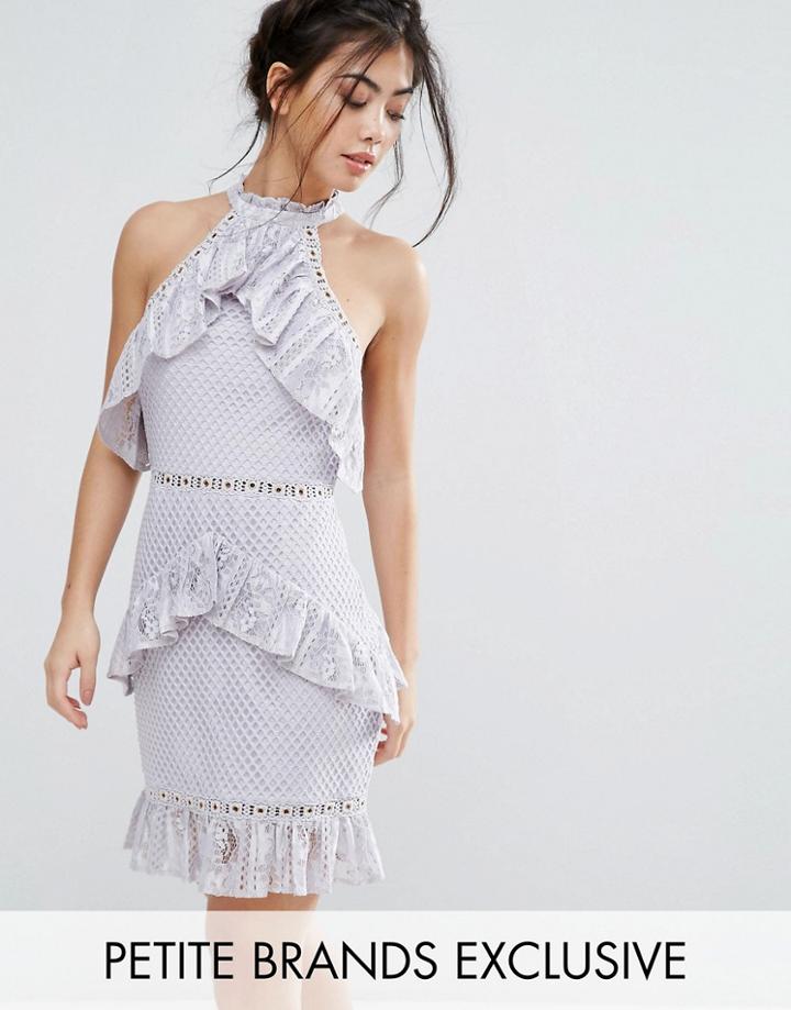 True Decadence Petite Sleeveless Lace Ruffle Detail Mini Dress - Purple