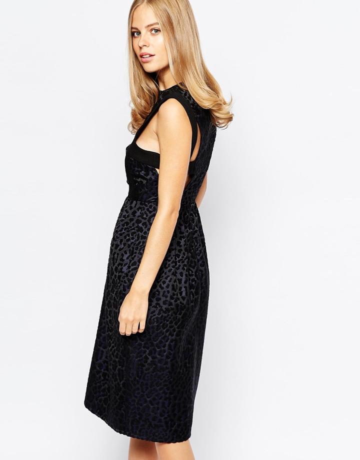 Lost Ink Animal Velvet Skater Dress With Back Detail - Navy