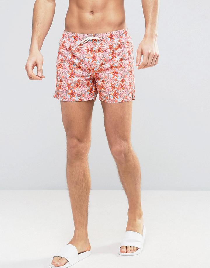 Mango Man Swim Shorts In Pink Starfish Print - Pink