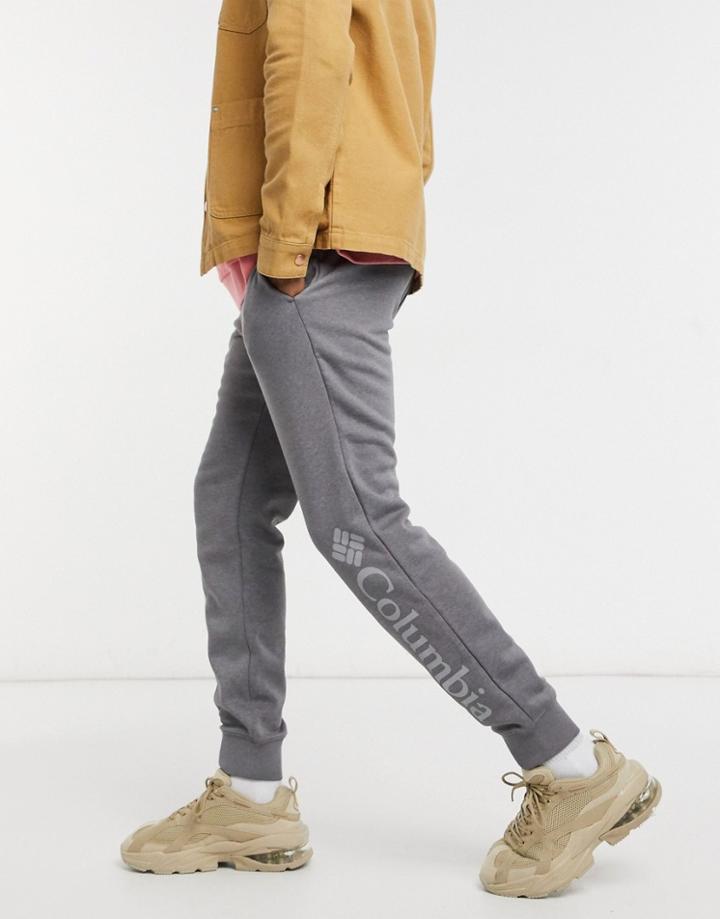 Columbia Csc Logo Fleece Sweatpants In Gray