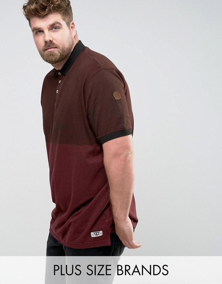 Duke Plus Polo In Dip Dye Red - Red