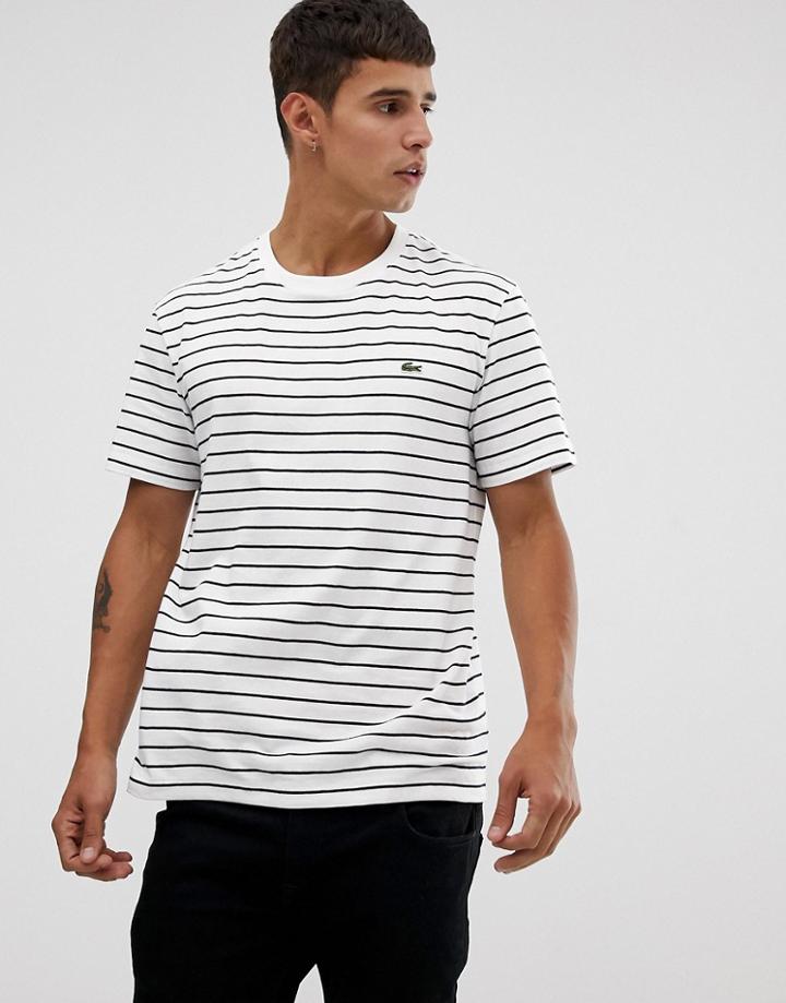 Lacoste Stripe T-shirt In White