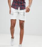 Siksilk Tall Super Skinny Denim Shorts In White With Distressing Exclusive To Asos - White