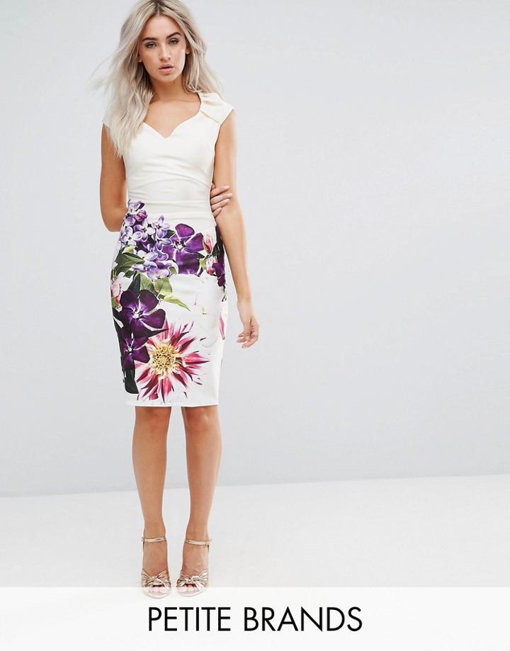 City Goddess Petite V Neck Printed Dress - Pink