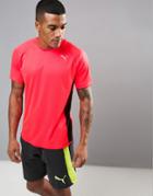 Puma Pe Running Short Sleeved T-shirt In Red 51382302 - Red