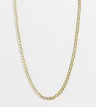 Shashi Baroness Long Chain Necklace In Gold Plate
