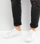 Asos Wide Fit Lace Up Sneakers In White With Toe Cap - White