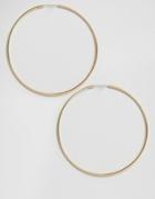 Orelia Medium 50mm Hoop Earrings - Gold