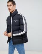 Penn Sport Puffer Jacket In Black With Logo Side Stripe - Black
