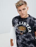 Hollister Tiger Logo Acid Wash T-shirt In Black - Black