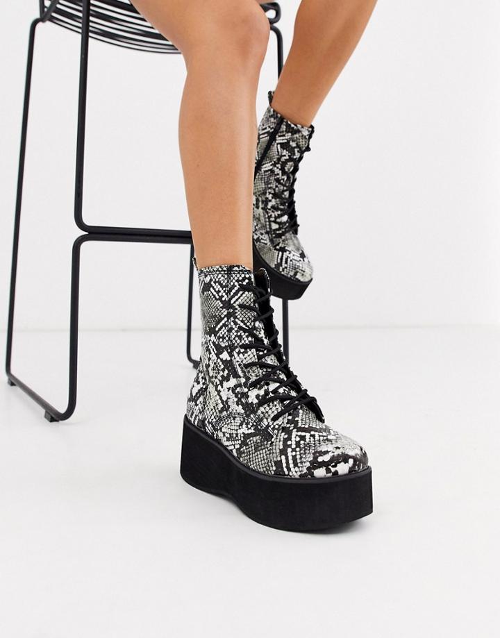 Truffle Collection Chunky Lace Up Ankle Boot In Snake