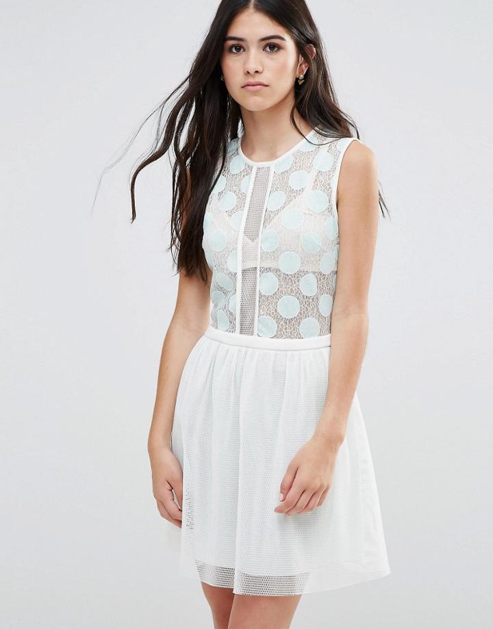 Traffic People Skater Dress With Polka Dot Mesh Top And Mesh Skirt - B