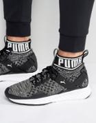 Puma Ignite Evoknit Sneakers In Black 18969701 - Black