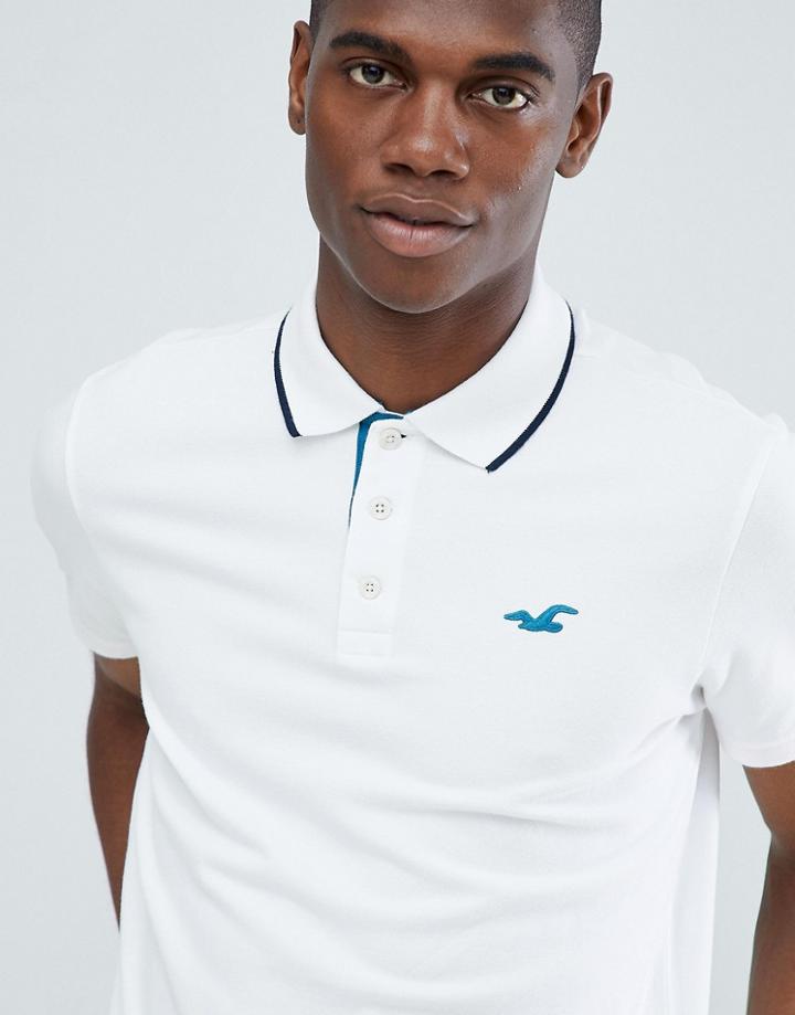 Hollister Tipped Pique Polo Seagull Logo Slim Fit In White - White