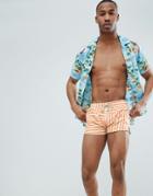 Oiler & Boiler Swim Shorts Stripe Print - Orange
