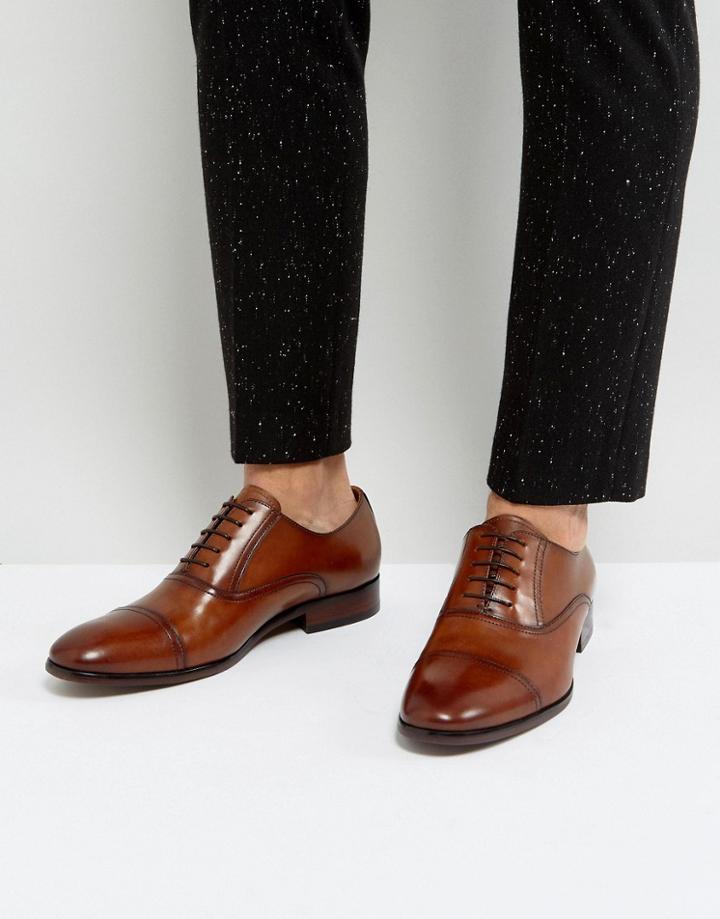 Steve Madden Herbert Oxford Shoes In Tan - Tan