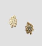 Asos Design Gold Plated Sterling Silver Palm Leaf Stud Earrings - Gold