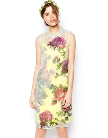 Asos Salon Shift Dress In Organza With Applique Flowers