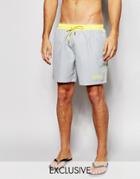 Hugo Boss Star Fish Swim Shorts Exclusive - Gray