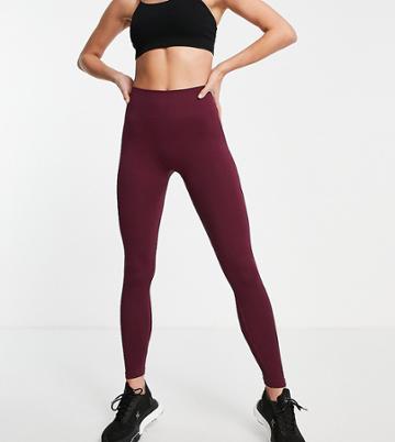 Hoxton Haus Tall Seamless Gym Leggings In Deep Purple