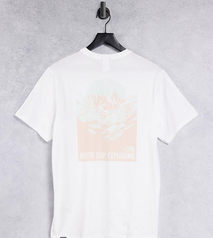 The North Face Natural Wonders Back Print T-shirt In White - Exclusive To Asos
