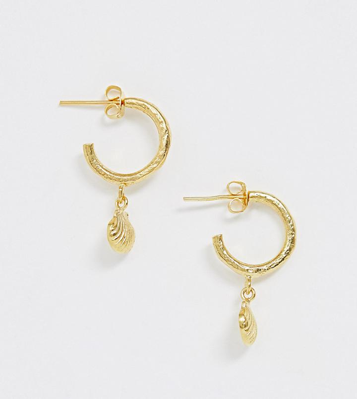 Ottoman Hands Gold Plated Shell Drop Hoop Earrings - Gold