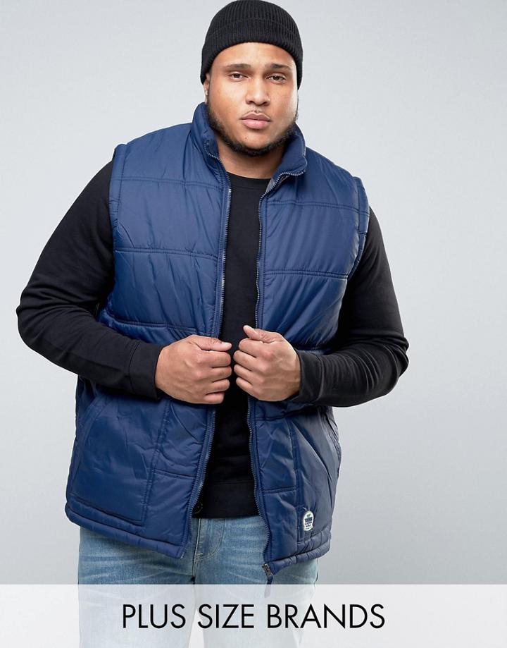 Duke Plus Padded Vest In Navy - Navy