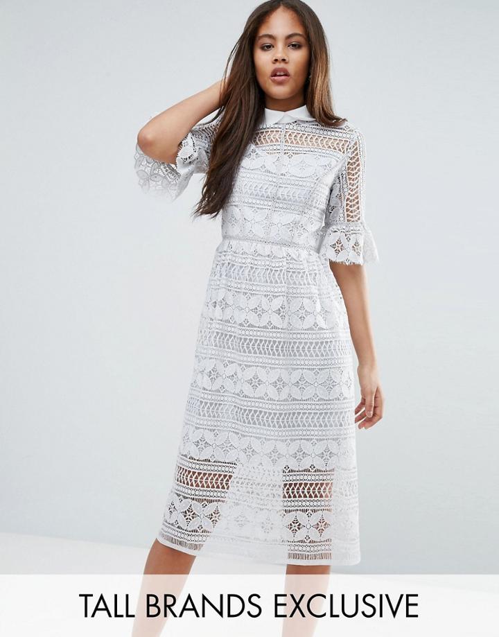 True Decadence Tall All Over Premium Lace Pencil Dress With Peplum Sleeve Detail - Blue