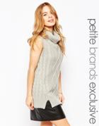 Tiger Mist Petite Sleeveless Chunky Roll Neck Sweater - Gray