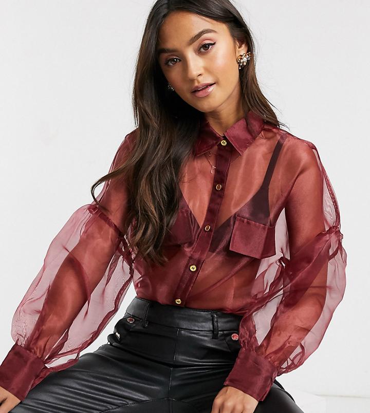 Wild Honey Sheer Shirt With Balloon Sleeves-pink