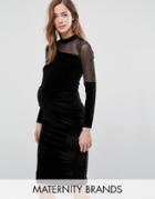Bluebelle Maternity Velvet Bodycon Dress With Mesh Insert - Black