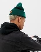 Santa Cruz Classic Dot Beanie In Green - Green