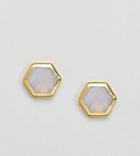 Carrie Elizabeth 14 Gold Plated Blue Lace Agate Hexagon Stud Earrings - Gold