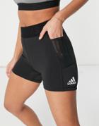 Adidas Training Short With Branded Waistband In Black