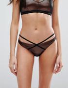 Pour Moi Copper Mesh Bikini Bottom - Gold