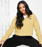 The North Face Sherpa Cropped Fleece In Tan Exclusive To Asos-brown