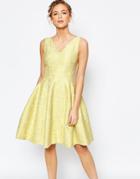 Coast Amberley Lace Textured Fit And Flare Dress In Lime - Lime