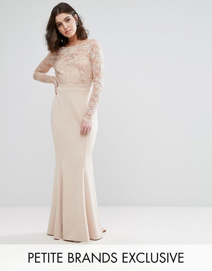 Club L Petite Allover Scallop Lace Top Maxi Dress With Open Bow Back - Pink