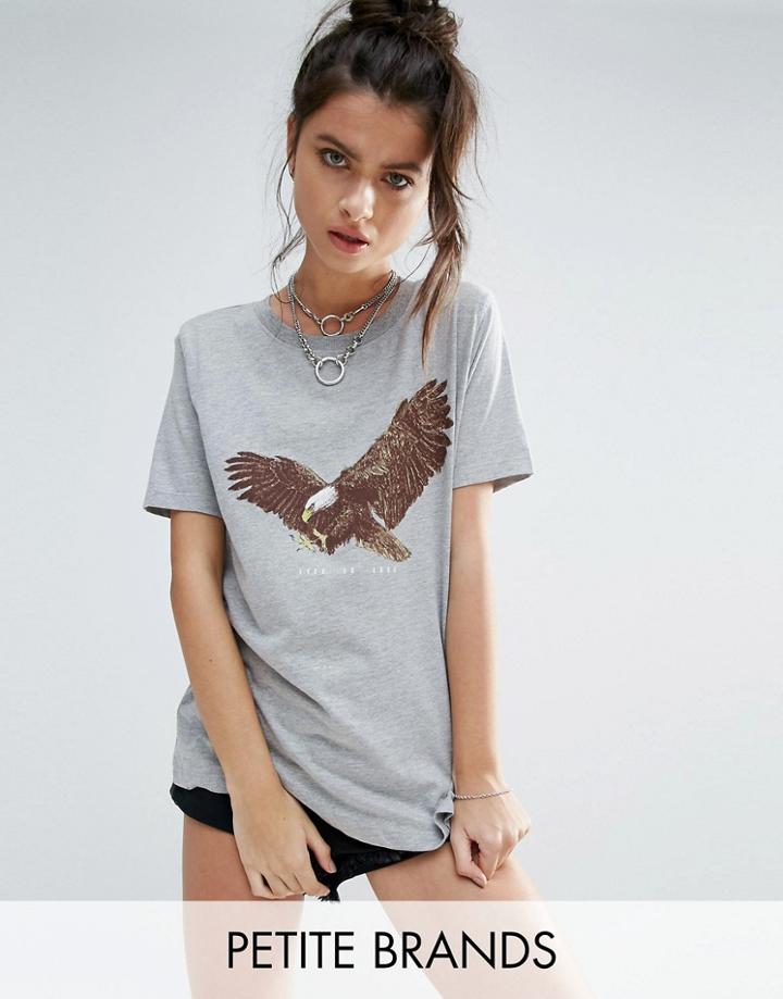 Noisy May Petite Eagle Print Tee - Gray