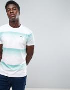 Hollister Crew T-shirt Slim Fit Logo Block Stripe In Blue - Blue