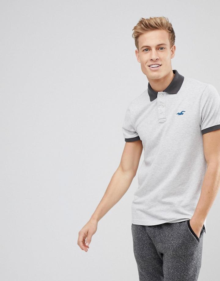 Hollister Stretch Pique Polo Seagull Logo In Light Gray - Gray