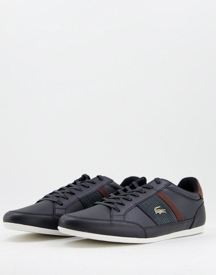 Lacoste Chaymon Sneakers In Black/dark Brown