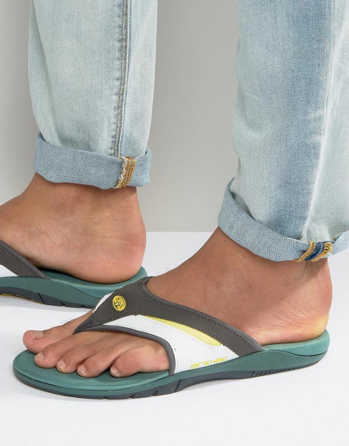 Animal Fader Flip Flops - Green