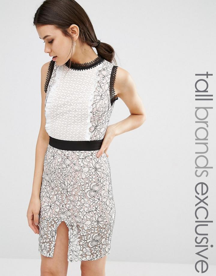 True Decadence Tall Scallop Lace Midi Pencil Dress - Multi