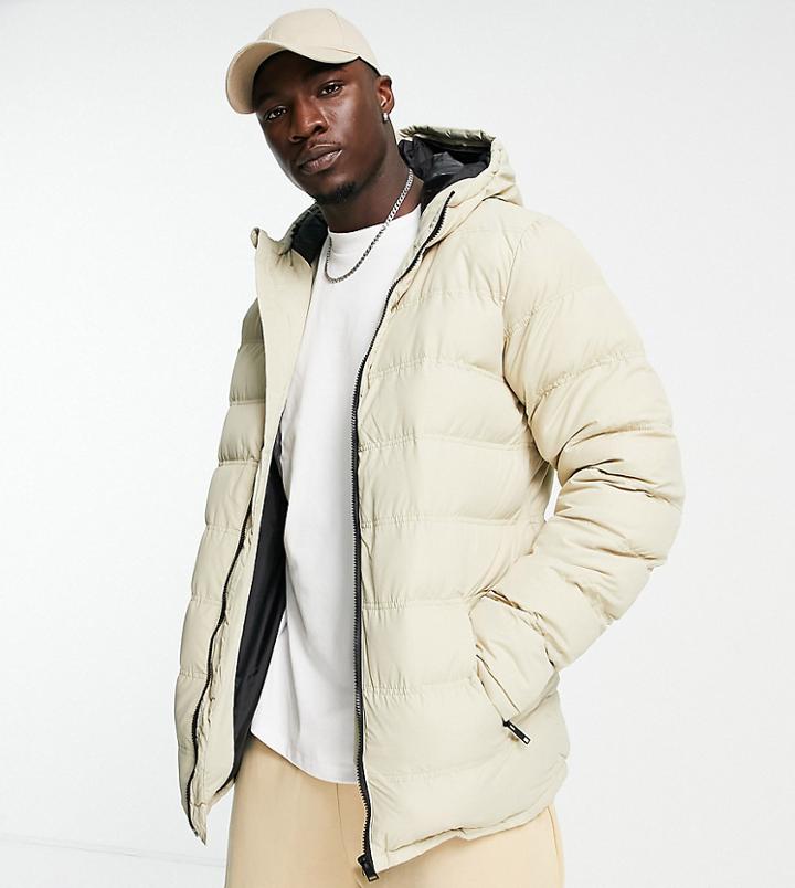 Threadbare Tall Puffer Jacket With Hood In Cream-neutral