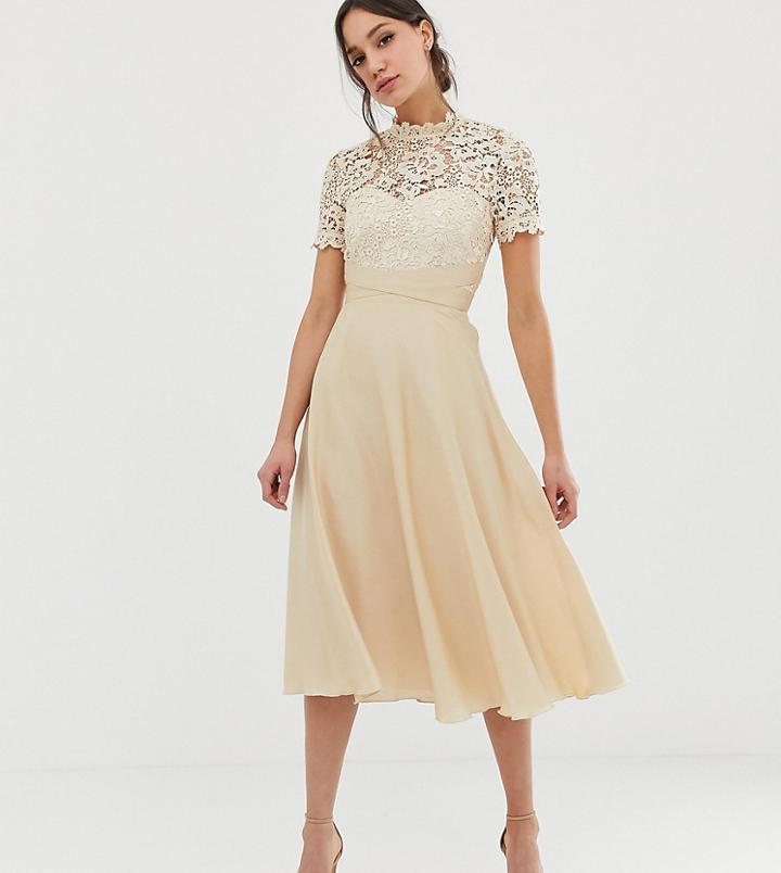 Little Mistress Tall Lace Top Midi Prom Skater Dress In Cream - Cream