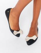 Melissa Trippy Bow Point Flat Shoes - Black